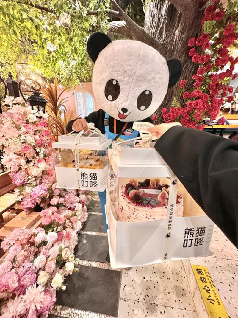 南京网络科技公司的成功案例：创新引领未来